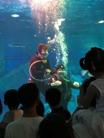 Haichang Polar Ocean World
